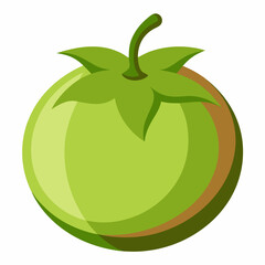 Illustration of a green unripe tomato with a stem and leaves isolated on a white background perfect for food related designs and educational material
