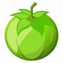 Illustration of a green unripe tomato with leaves isolated on white background perfect for food related designs educational materials or culinary themed projects simple and