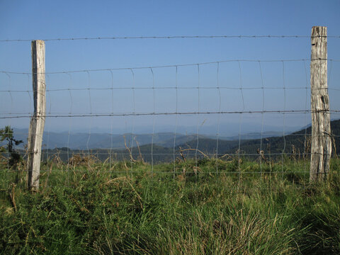 Verja de madera y alambre en el monte