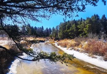 Fototapete river in the forest © Lesya