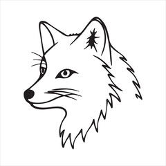 Arctic Fox – White Ghost of the North