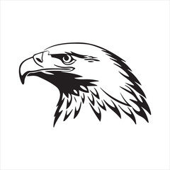 Golden Eagle – Majestic Raptor of Mountains and Skies