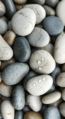 Wet Smooth River Pebbles Close Up