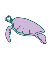 tortue animaux dessin cartoon enfant