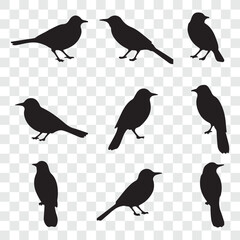 Flat and Minimal crow icon vector illustration isolated on white background an bart icon