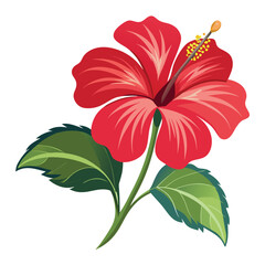 A hibiscus flower vector art illustration