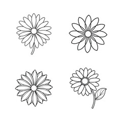 Four simple outlined daisy flowers in black and white arrangement for design projects