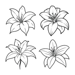 Elegant black and white line art illustrations of lilies in various floral designs