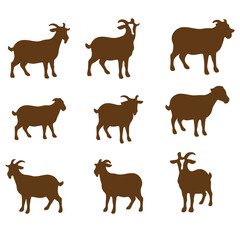 Cute facial expression icon of the sheep