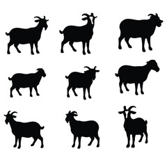 Cute facial expression icon of the sheep