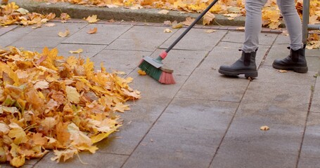 An individual is diligently using a broom to clear a variety of colorful autumn leaves from a...