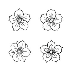 Elegant outlined vector illustrations of cherry blossom flowers in a monochromatic design