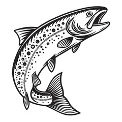 Fototapeta premium Editable Vector of Rainbow and Brown Trout in Stylized Jumping Illustrations