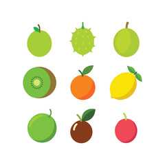 Vector art of various colorful fruits including kiwi lemon orange apple plum and melon isolated on white background