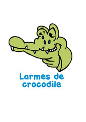 larmes crocodile humour expression