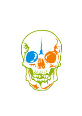 Tete de mort artistique crane halloween