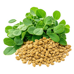 A bunch of green leaves and some nuts are piled on top of each other. The nuts are small and round, and the leaves are large and leafy. Concept of abundance and natural beauty