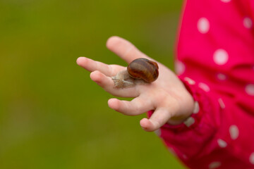 A young child reaches out to the camera with a small snail on their palm, set against a vibrant green backdrop, capturing a joyful moment of curiosity and connection with nature © Alena