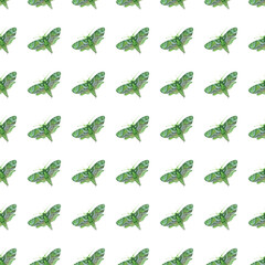 Seamless pattern with watercolors butterflies. Watercolor illustration.