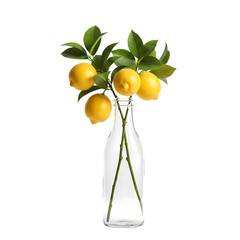 Lemons and Glass A Still Life Composition isolated on transparent baackground
