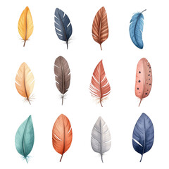 Fototapeta premium Colorful feather collection featuring various shapes and textures, showcasing nature beauty