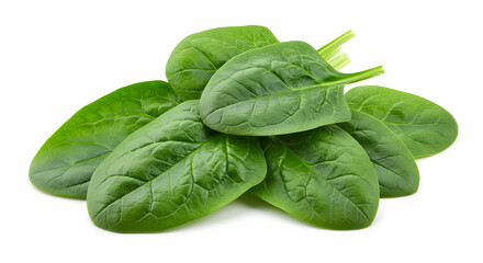 Fototapeta premium Fresh Organic Spinach Leaves Healthy Eating Green Vegetables Salad Ingredient Food Photography