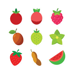 Vector art of various colorful fruits including tomato lychee raspberry plum soursop carambola strawberry peanut and watermelon isolated on white background
