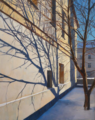 Winter Daytime Scene Bare Tree Shadow on Building Wall
