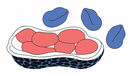 Abstract Illustration of Prunes and Apricots