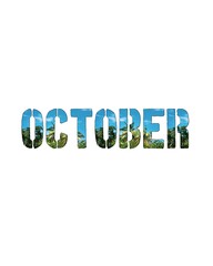 A month of warmth and sunshine, as seen through the tropical scene within the word.