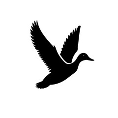 Obraz premium Duck In Flight Stunning Silhouette Of Bird Taking Flight