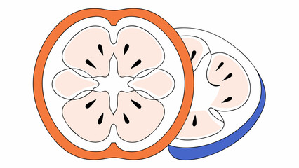 Abstract Citrus Fruit Slices