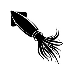 Obraz premium Squid Vector Of Ocean Cephalopod