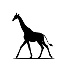 Fototapeta premium Giraffe Silhouette Elegant African Wildlife Vector Graphic
