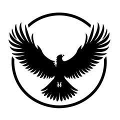 Obraz premium Eagle In Flight Bird Silhouette