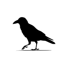 Fototapeta premium Crow Silhouette Vector Graphic