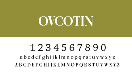 FONT DESIGN