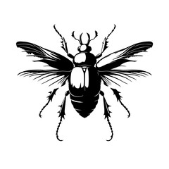 Obraz premium Beetle Bold Graphic