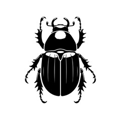 Black Beetle Silhouette In