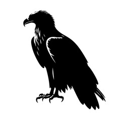 Obraz premium Eagle Silhouette Powerful Freedom And Nature