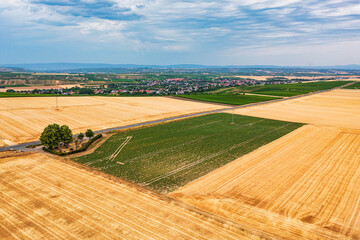 A bird's-eye view of grain fields in Rheinhessen