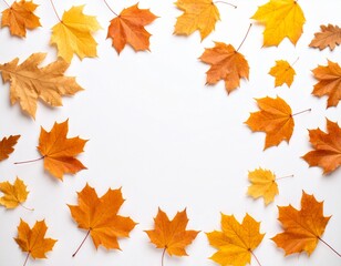 秋の色に染まった落ち葉　もみじ　白背景