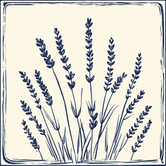 A serene illustration of lavender sprigs in navy blue