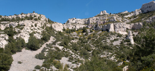 Naklejka premium Coastal environments from the Mediterranean coast. Shot during 3 days of hiking in the Calanques, south of France, close to Marseille.