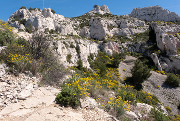 Coastal environments from the Mediterranean coast. Shot during 3 days of hiking in the Calanques, south of France, close to Marseille.