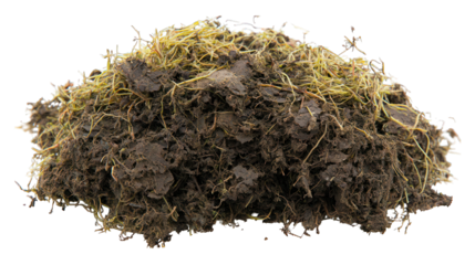 Pile of dark soil with roots and thin grass strands