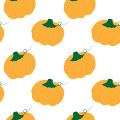 Hand Drawn Colorful Pumpkin with tendril Seamless Pattern Thanksgiving Holiday Backdrop Texture idea