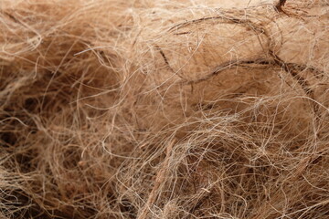 Coconut fiber or coconut coir is a derivative product of the coconut tree. Cocos nucifera. 