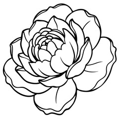 Lifelike Vector Illustration of a Pink Peony Flower – Realistic Bloom, Botanical Art, Floral Design, Nature Clipart, Garden Element, Wedding Decor, Spring
