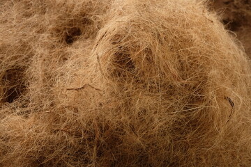 Coconut fiber or coconut coir is a derivative product of the coconut tree. Cocos nucifera. 